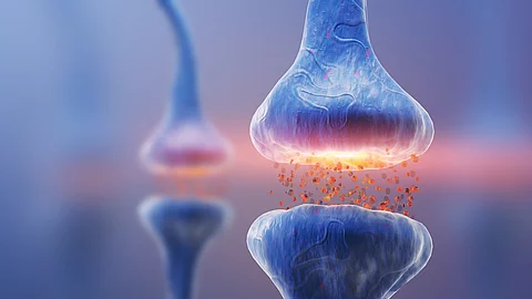 Darstellung einer blauen Synpase und einem Neuron.