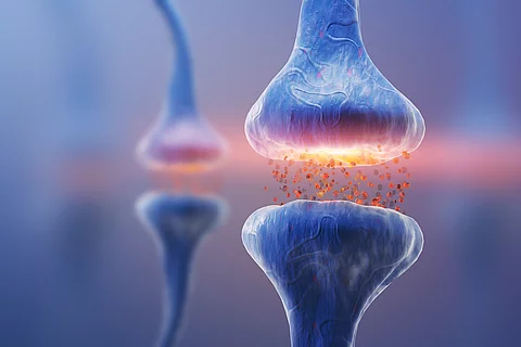 Darstellung einer blauen Synpase und einem Neuron.