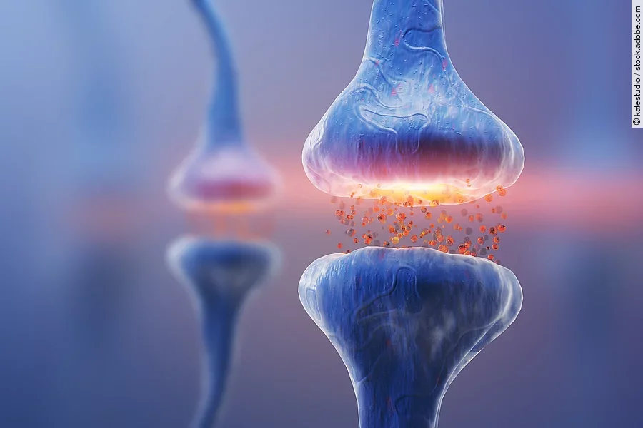 Darstellung einer blauen Synpase und einem Neuron.