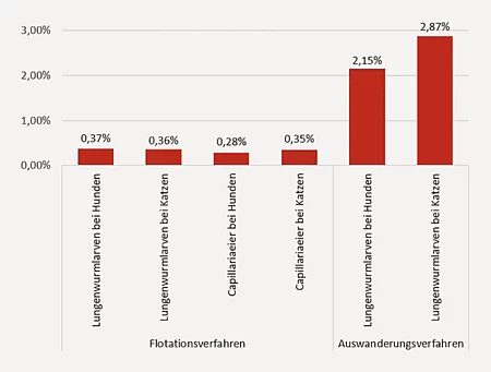 Eine Grafik zeigt die Nachweishäufigkeit von Lungenwurmlarven und Capillaria-Eiern bei Hunden und Katzen.