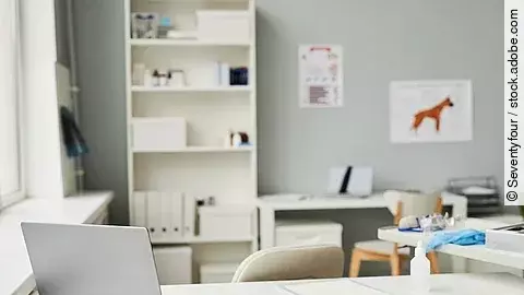 Arbeitsplatz in einer Tierarztpraxis. Im Vordergrund des Bildes steht ein weißer Schreibtisch. Auf dem Tisch ist ein geöffneter Laptop abgestellt und weitere Utensilien - wie eine Bandage und ein Klemmbrett - liegen auf dem Tisch. Im Hintergrund steht eine Bücherregal und medizinische Plakate hängen an der Wand.