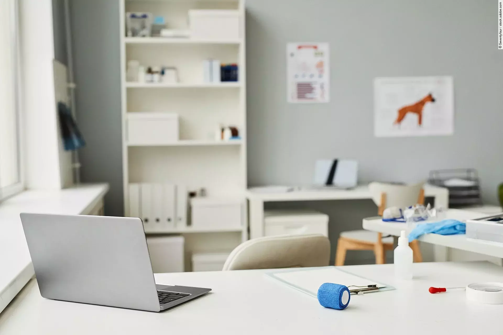 Workplace of veterinarian with laptop, plastic bottle, pipette, blue bandage and document in contemporary veterinary clinics Arbeitsplatz in einer Tierarztpraxis. Im Vordergrund des Bildes steht ein weißer Schreibtisch. Auf dem Tisch ist ein geöffneter Laptop abgestellt und weitere Utensilien - wie eine Bandage und ein Klemmbrett - liegen auf dem Tisch. Im Hintergrund steht eine Bücherregal und medizinische Plakate hängen an der Wand.