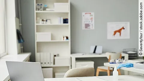 Arbeitsplatz in einer Tierarztpraxis. Im Vordergrund des Bildes steht ein weißer Schreibtisch. Auf dem Tisch ist ein geöffneter Laptop abgestellt und weitere Utensilien - wie eine Bandage und ein Klemmbrett - liegen auf dem Tisch. Im Hintergrund steht eine Bücherregal und medizinische Plakate hängen an der Wand.