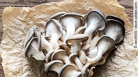 Einige Austernpilze liegen ausgebreitet auf einem braunen Papier.
