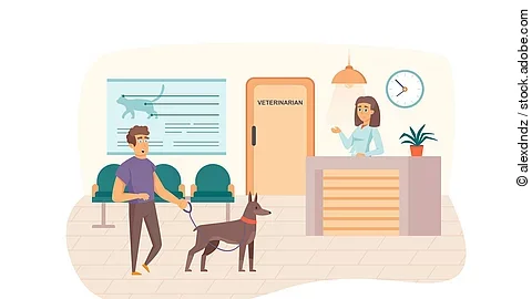 Veterinary clinic scene. Man with dog visits vet, waiting for do