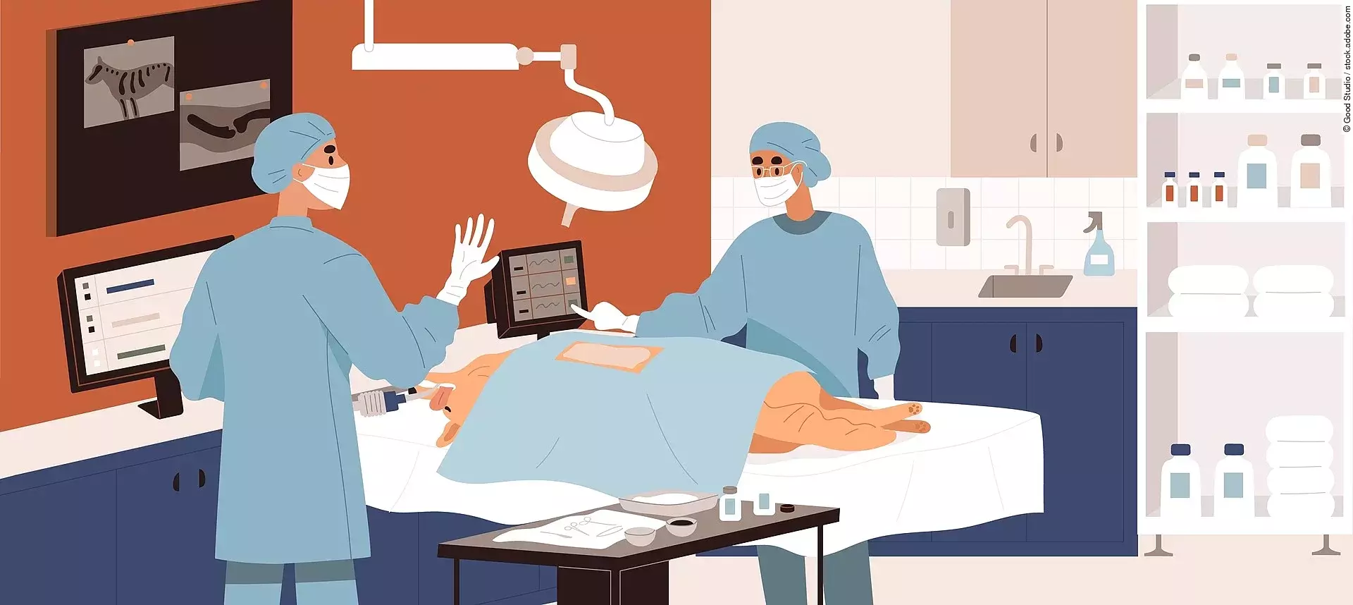 Vektorzeichnung von Tierärzt*innen die eine Operation in einer Tierklinik durchführen. Ein Hund mit braunem Fell liegt unter Narkose auf einer Liege, während der Chirurg und sein Assistent einen in einer modernen Tierklinik operieren. Die Personen tragen blaue Kleidung, weiße Handschuhe und Masken.