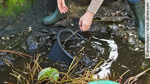 Eine Person mit Gummistiefeln macht mit einem Eimer den Wasserwechsel eines trüben Gartenteichs.
