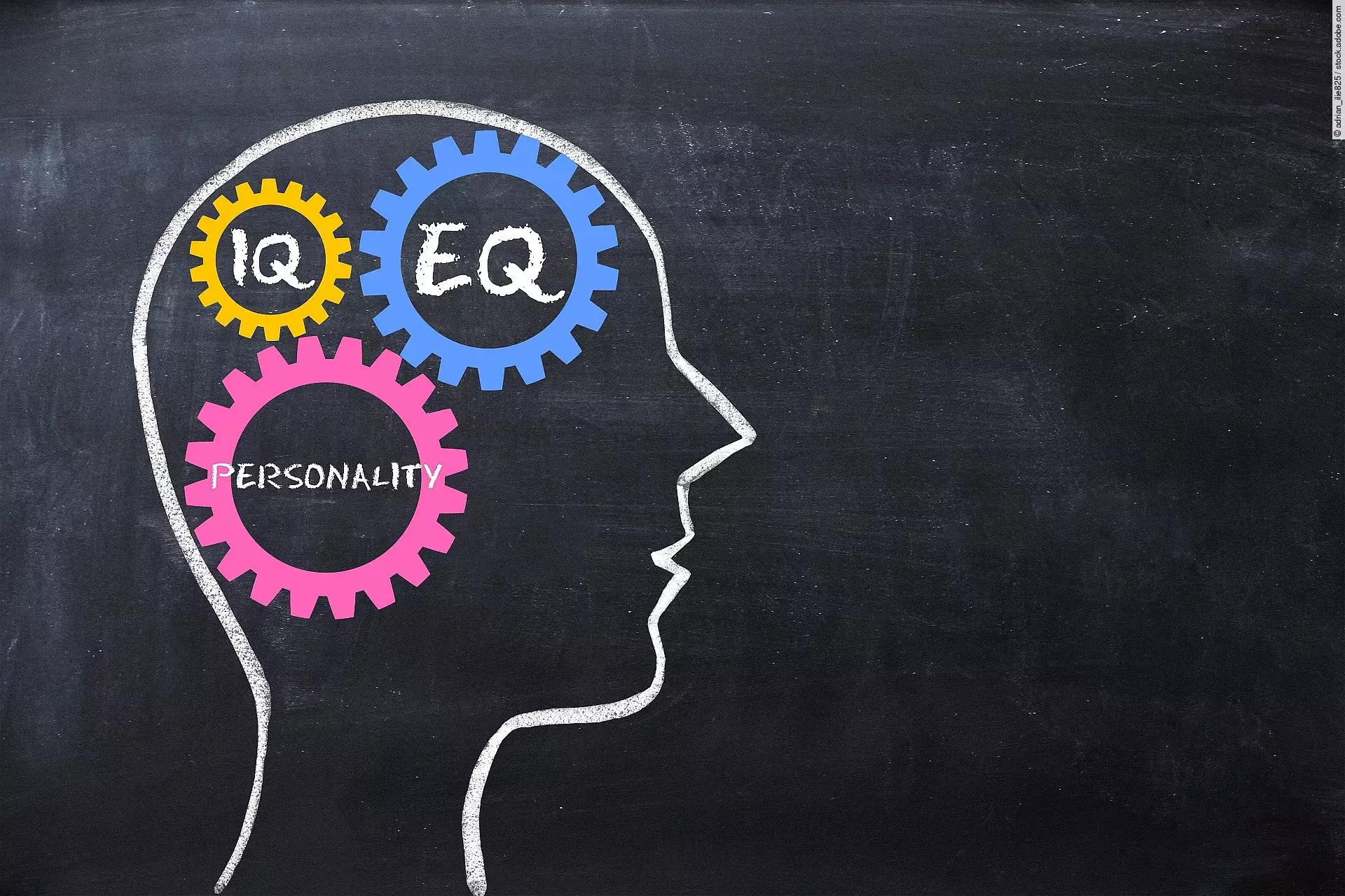 Emotionale Intelligenz Emotionale Intelligenz