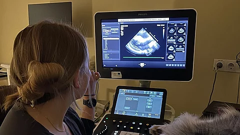 Tiermedizin-Studentin schallt einen Hund.