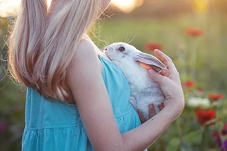girl and rabbit