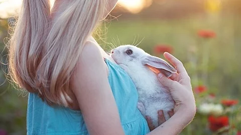 girl and rabbit