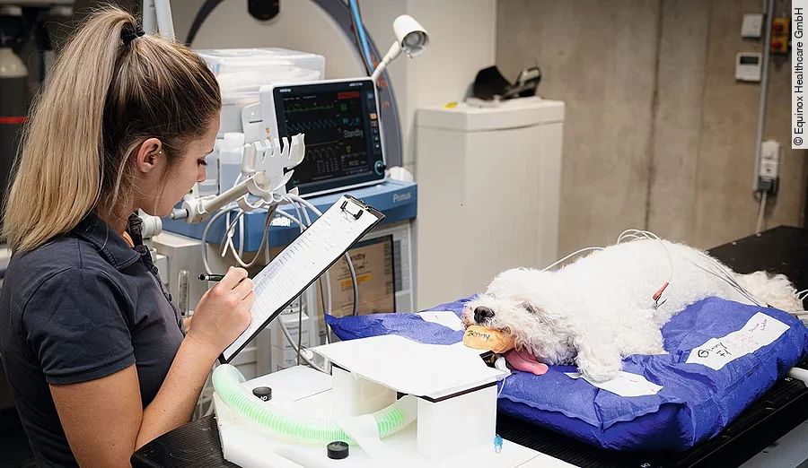 Julia bei der Anästhesie-Überwachung und Aufnahme der Vitalparameter bei einem Patienten mit Hirntumor. Julia bei der Anästhesie-Überwachung und Aufnahme der Vitalparameter bei einem Patienten mit Hirntumor.