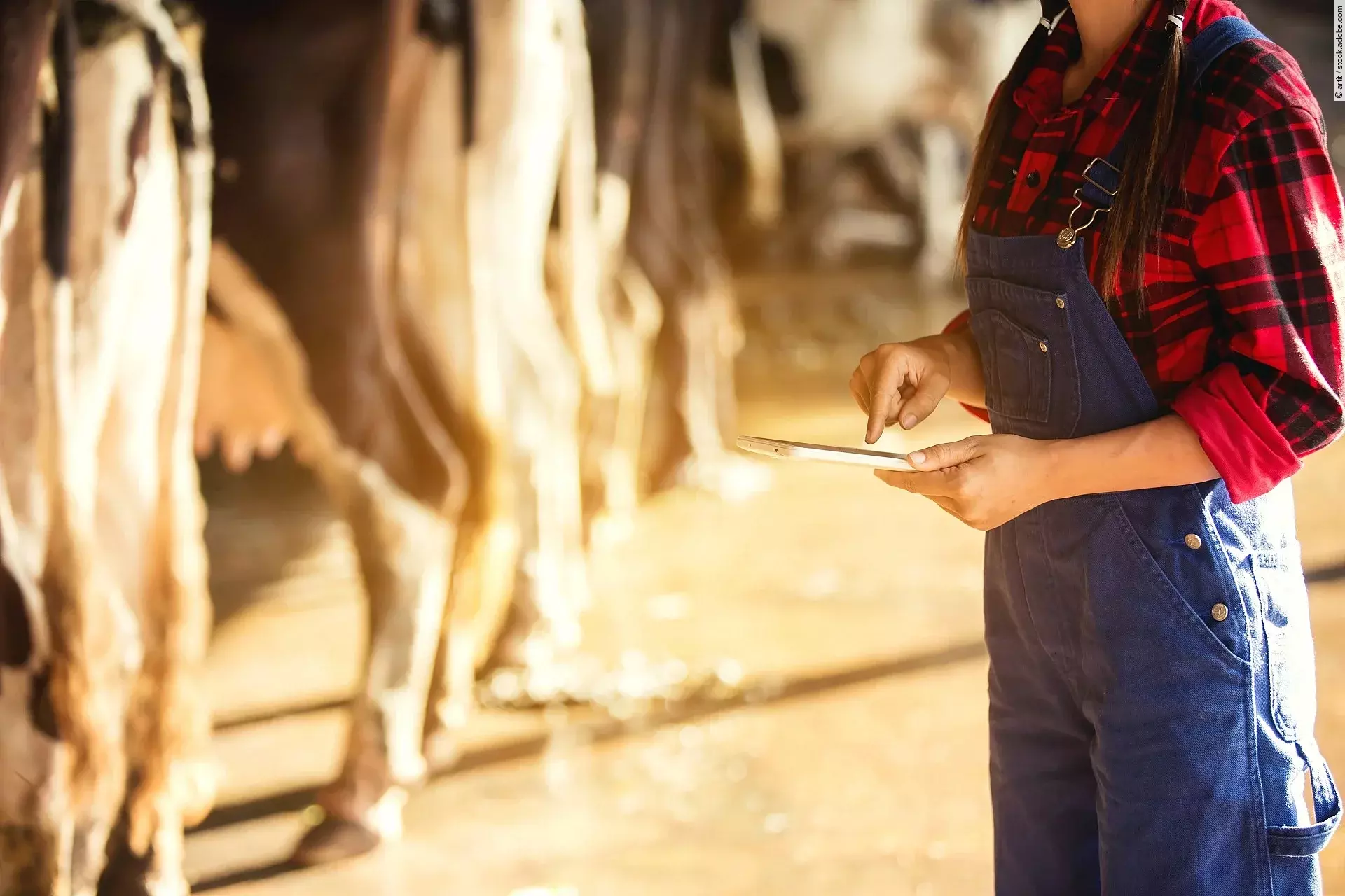 Eine Person steht mit einem Tablet in den Händen in einem Kuhstall.
