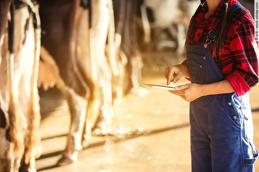 Eine Person steht mit einem Tablet in den Händen in einem Kuhstall.