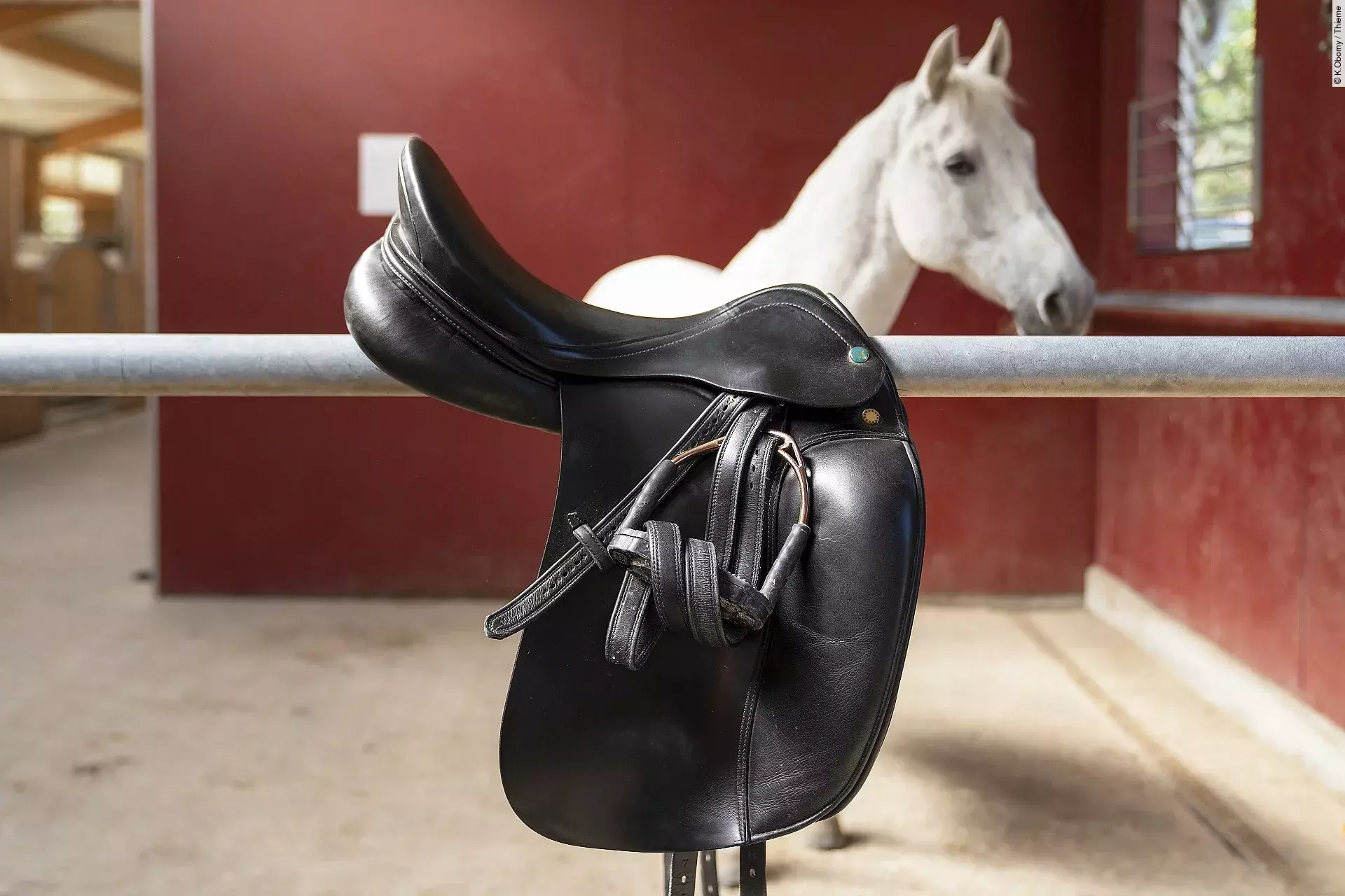 Ein schwarzer Reitsattel mit Steigbügeln hängt über einer Metallstange in einem Pferdestall. Im Hintergrund steht ein weißes Pferd mit aufmerksamem Blick vor einer roten Stallwand.