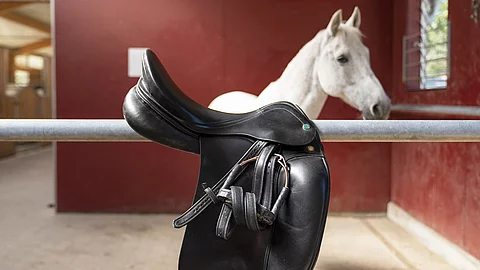 Ein schwarzer Reitsattel mit Steigbügeln hängt über einer Metallstange in einem Pferdestall. Im Hintergrund steht ein weißes Pferd mit aufmerksamem Blick vor einer roten Stallwand.