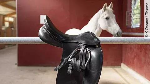 Ein schwarzer Reitsattel mit Steigbügeln hängt über einer Metallstange in einem Pferdestall. Im Hintergrund steht ein weißes Pferd mit aufmerksamem Blick vor einer roten Stallwand.