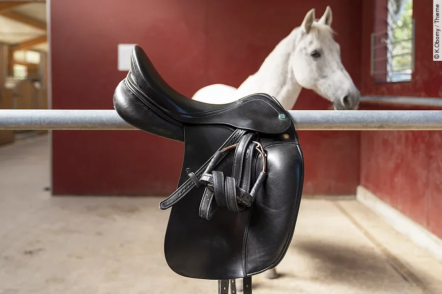Ein schwarzer Reitsattel mit Steigbügeln hängt über einer Metallstange in einem Pferdestall. Im Hintergrund steht ein weißes Pferd mit aufmerksamem Blick vor einer roten Stallwand.