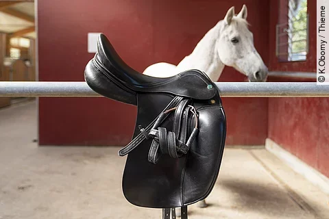 Ein schwarzer Reitsattel mit Steigbügeln hängt über einer Metallstange in einem Pferdestall. Im Hintergrund steht ein weißes Pferd mit aufmerksamem Blick vor einer roten Stallwand.