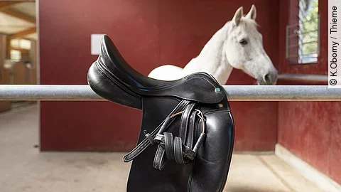 Ein schwarzer Reitsattel mit Steigbügeln hängt über einer Metallstange in einem Pferdestall. Im Hintergrund steht ein weißes Pferd mit aufmerksamem Blick vor einer roten Stallwand.