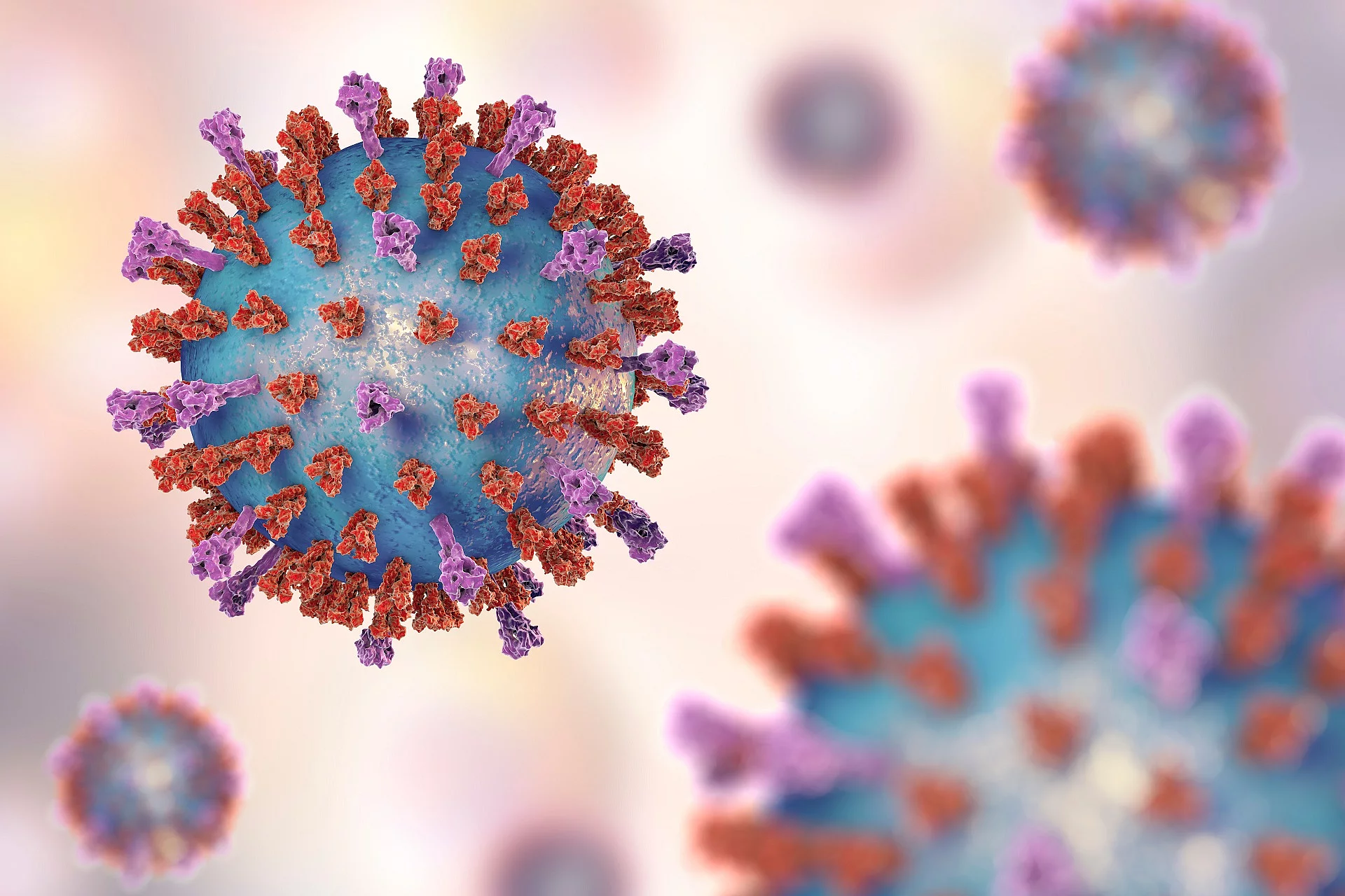 Virus
