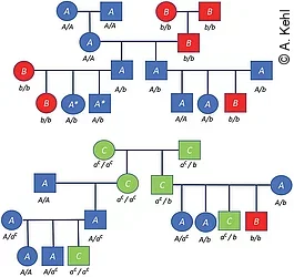 Umgeleitetes Druckdokument von Remotedesktop