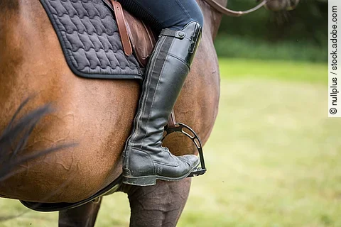 Detailaufnahme von einer reitenden Frau. Das Pferd ist braun und man sieht den Bereich, an dem Der Unterschenkel am Pferd liegt. Die Person trägt eine dunkelblaue Reithose und schwarze Reitstiefel.  