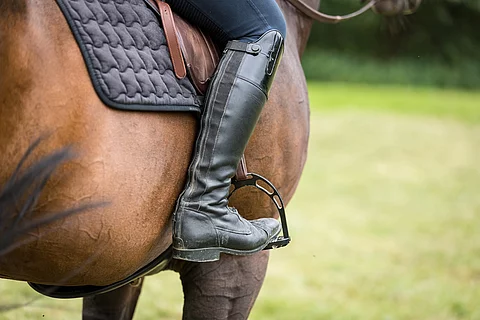 Detailaufnahme von einer reitenden Frau. Das Pferd ist braun und man sieht den Bereich, an dem Der Unterschenkel am Pferd liegt. Die Person trägt eine dunkelblaue Reithose und schwarze Reitstiefel.  