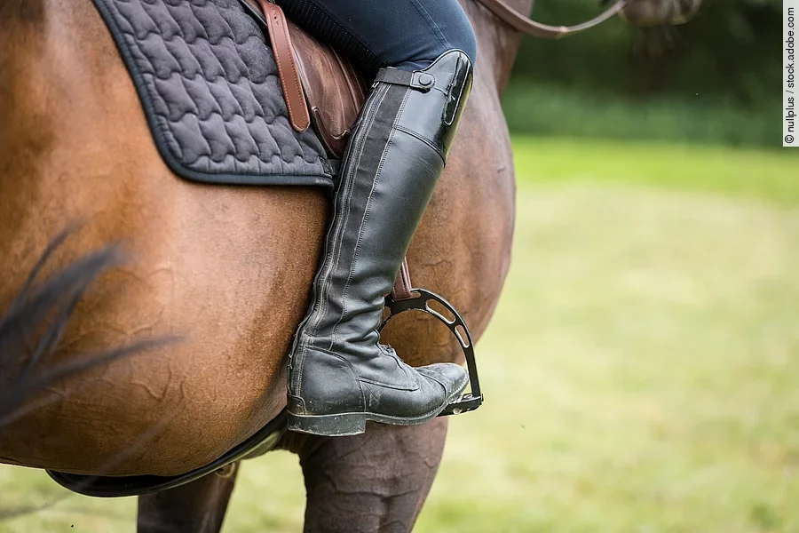 Detailaufnahme von einer reitenden Frau. Das Pferd ist braun und man sieht den Bereich, an dem Der Unterschenkel am Pferd liegt. Die Person trägt eine dunkelblaue Reithose und schwarze Reitstiefel.  