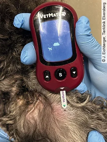 Anwendung des Blutzuckermessgeräts