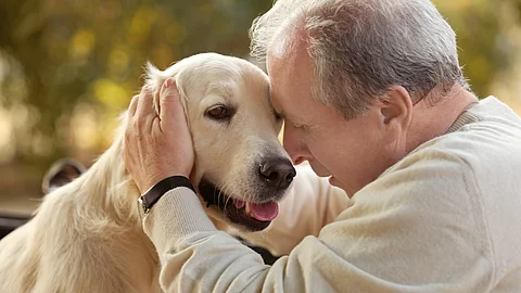 Ein Mann sitzt mit einem Hund und streichelt den Kopf des Hundes.