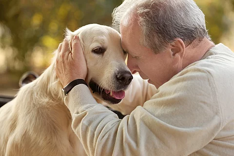 Ein Mann sitzt mit einem Hund und streichelt den Kopf des Hundes.