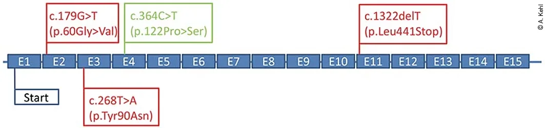 Umgeleitetes Druckdokument von Remotedesktop