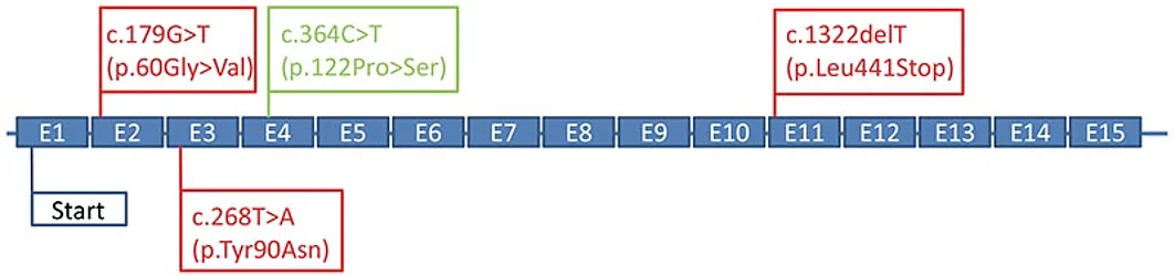 Umgeleitetes Druckdokument von Remotedesktop