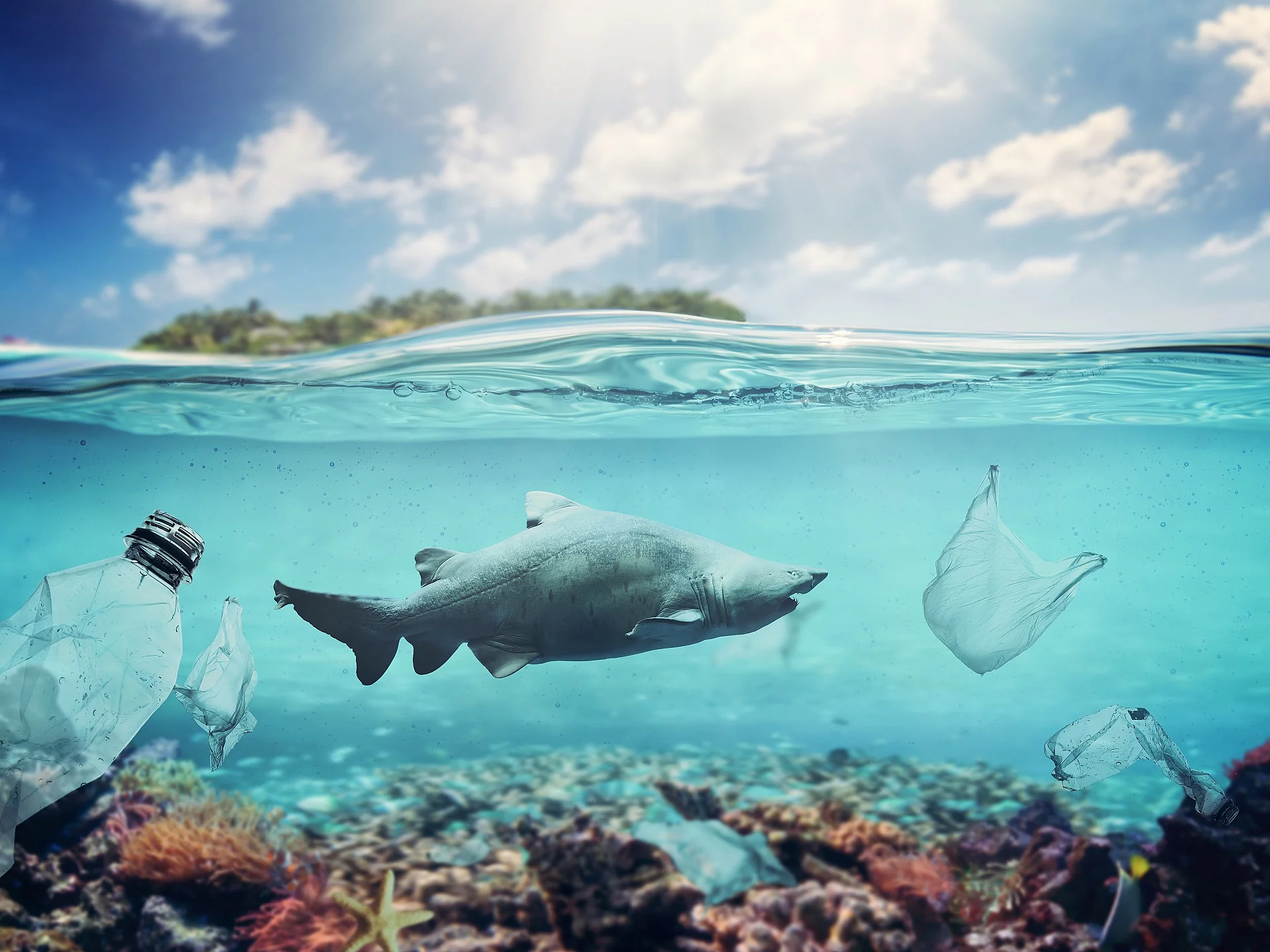 Plastik im Meer