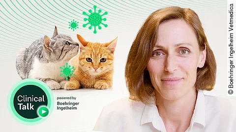 Dr. Susanne Mangelsdorf-Ziera