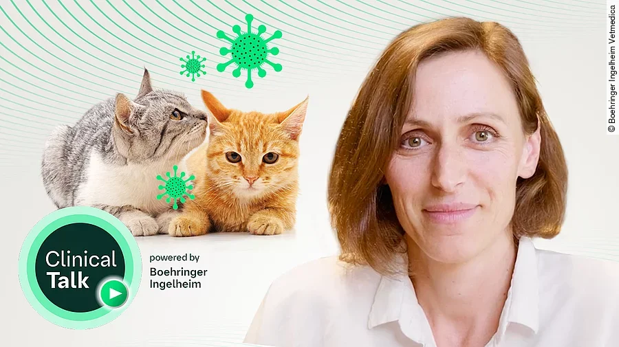 Dr. Susanne Mangelsdorf-Ziera