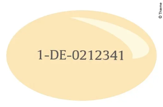 Beispiel für Eierzeugercode