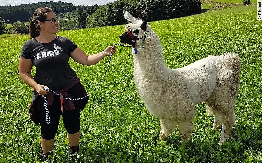 Anja Kaindl steht auf einer grünen Wiese und hält ein weißes Alpaka mit Halfter und Strick.
