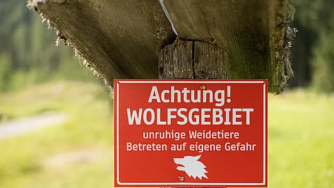 Rotes Warnschild an einem Baum an einer Wiese mit dem Text: Achtung Wolfsgebiet, Betreten auf eigene Gefahr.
