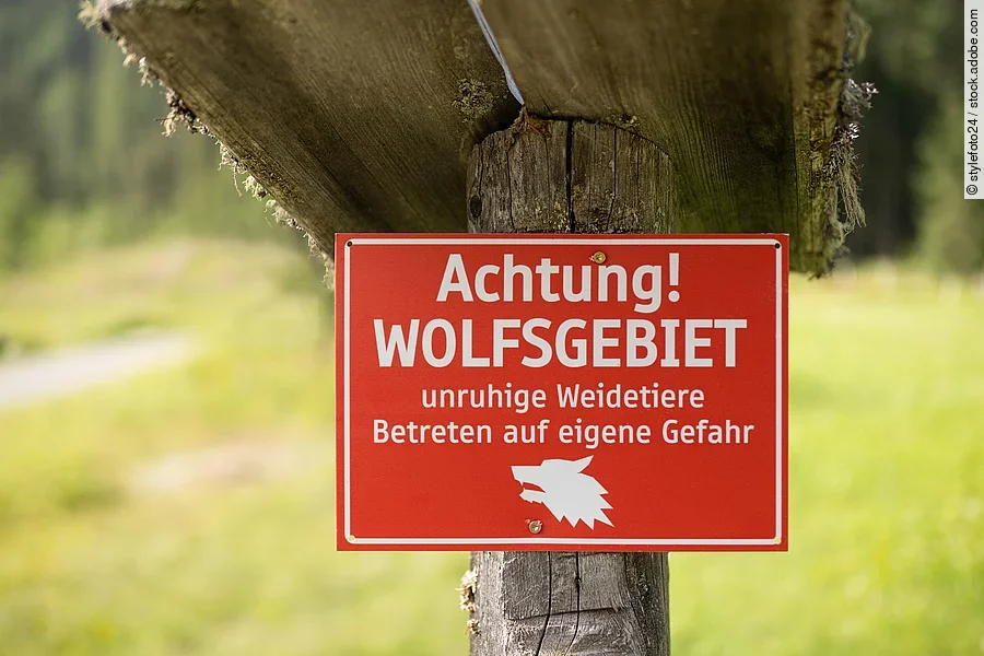 Rotes Warnschild an einem Baum an einer Wiese mit dem Text: Achtung Wolfsgebiet, Betreten auf eigene Gefahr.