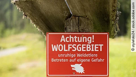 Betreten auf eigene Gefahr Rotes Warnschild an einem Baum an einer Wiese mit dem Text: Achtung Wolfsgebiet, Betreten auf eigene Gefahr.