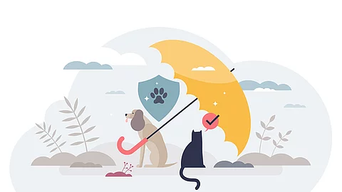 Tierversicherung und finanzielle Absicherung für die Tiergesundheit – Konzept mit kleiner Person, transparenter Hintergrund. Illustration der Sicherheitsdeckung für medizinische Kosten von Katzen und Hunden im Falle von Tierarztkosten.