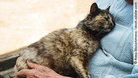 Eine Katze liegt im Schoß einer älteren Frau.