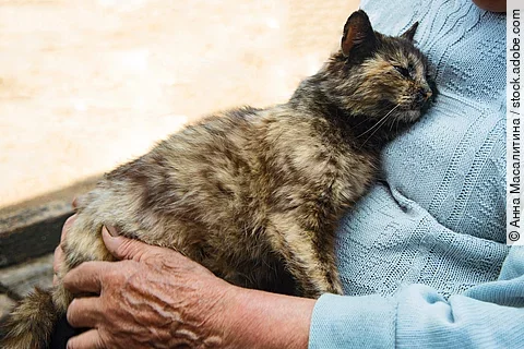 Eine Katze liegt im Schoß einer älteren Frau.