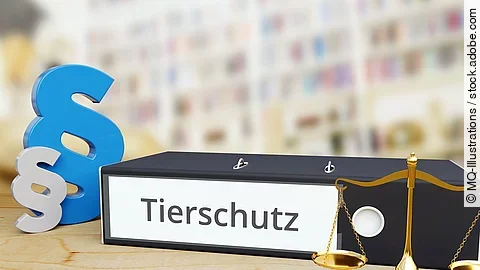 Tierschutzgesetz: Ein Ordner auf einem Schreibtisch. Tierschutzgesetz: Ein Ordner auf einem Schreibtisch.