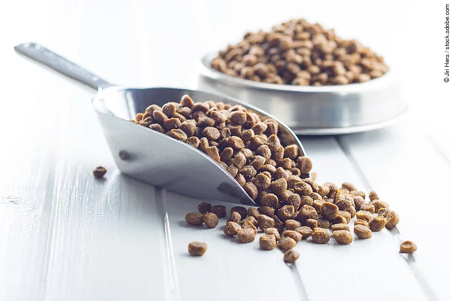 Trockenfutter im Napf und in einer Kelle aus Metall.