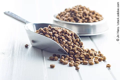 Trockenfutter im Napf und in einer Kelle aus Metall.