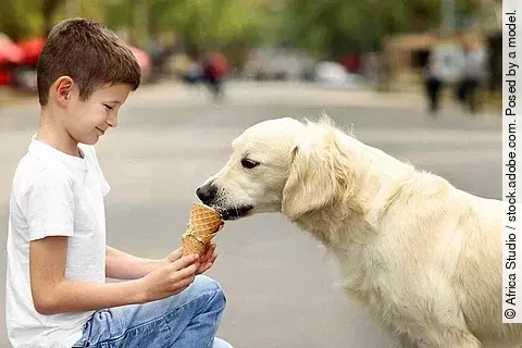 Small boy feeding ice-cream cute dog on street