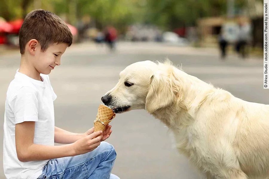 Small boy feeding ice-cream cute dog on street